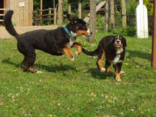 Maxi und ihre Freundin Annie