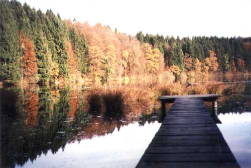 Herbstwald um den Hackensee