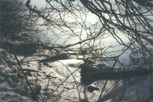 Winterimpression am Kochelsee