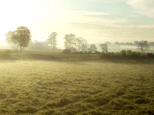 Morgennebel